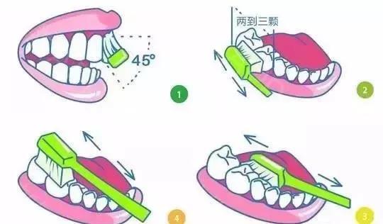 刷牙法律：你需要了解的一些重要信息