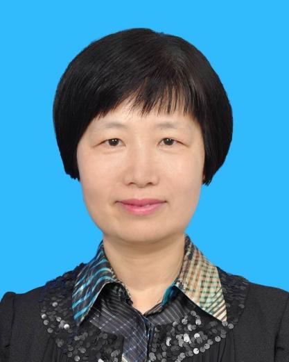 浙江金丽敏法律文书