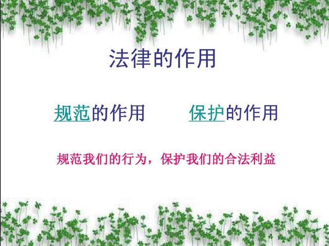 1.知识产权保护