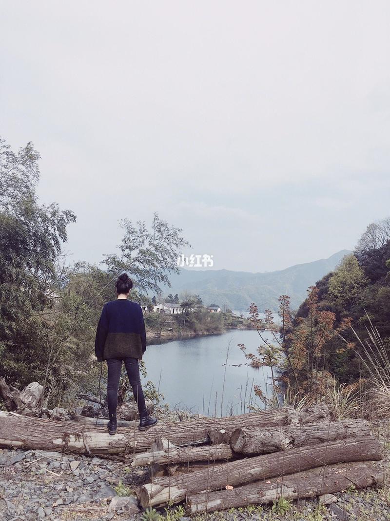 醒酒法律依据解析