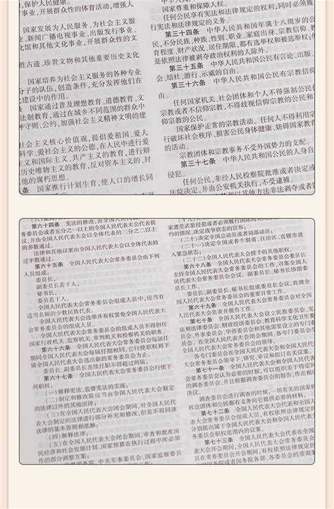 两证一书的内容