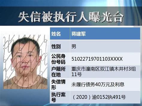 全国法律被执行人有多少