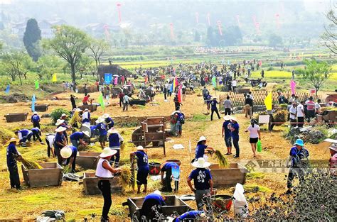 农民丰收节2023年在哪举办