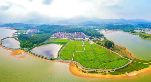 金沙江生态移民规划