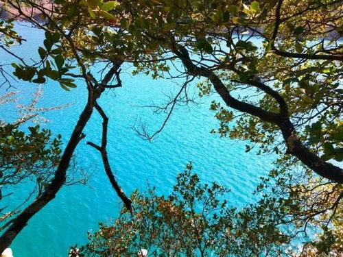 网络中国节 清明 读清明有关的诗句,感悟时间深处的静谧