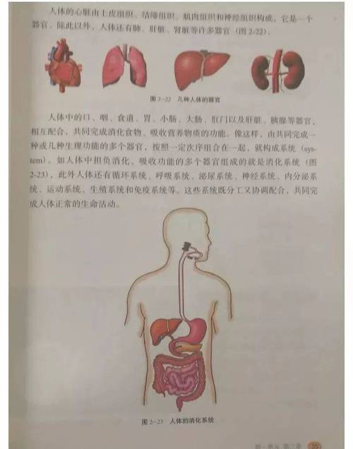 探索生命奥秘冀少版初中生物电子课本全册综述

引言
在数字化教育资源日益丰富的今天，电子课本已成为学生学习的新工具。冀少版初中生物电子课本全册，作为一套全面、系统的生物学教材，不仅承载着传授生物学知识的重任，更是引导学生探索生命科学奥秘的桥梁。本文将全面介绍这套电子课本的特点、