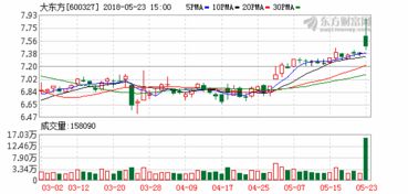 有关鼎龙股份的最新报道