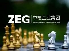 暗流涌动中植系的黎明