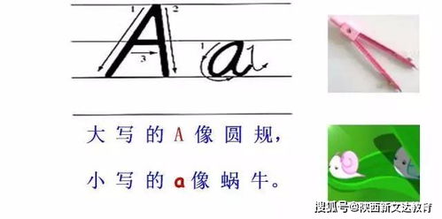 邓碧玲：高考加分政策，也要求一个公平