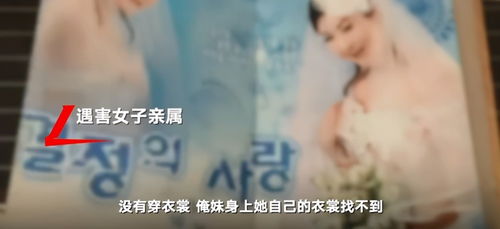 四川失联女子牵动人心，探寻真相的十天