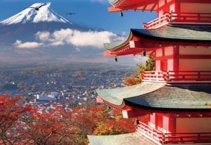 日本小镇的拉网行动，遮挡富士山景背后的故事