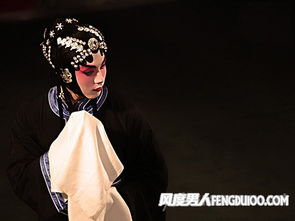 席琳迪翁在埃菲尔铁塔下的震撼献唱