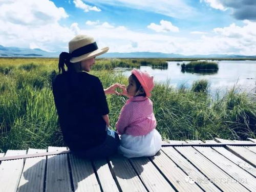 母愿，他走进清华后，寻访母亲遇难的地方