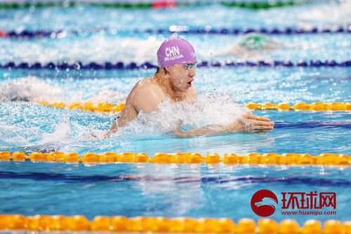 覃海洋在百米蛙泳决赛中的挑战与突破