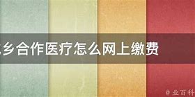 合作医疗网上缴费指南