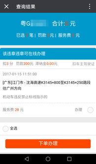 广东省违章查询在线官网