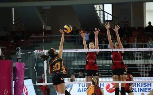 潘展乐半决赛首战告捷，勇夺晋级决赛资格