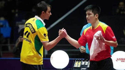 樊振东决赛对手确定，复仇战来了