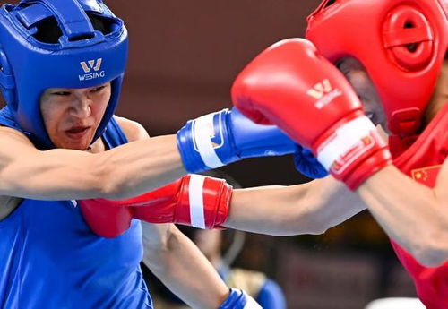 中国女子拳击在巴黎奥运的辉煌篇章，保底五枚奖牌
