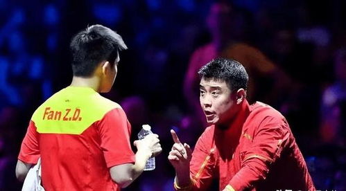 王皓与樊振东，高高抱起的不只是荣耀