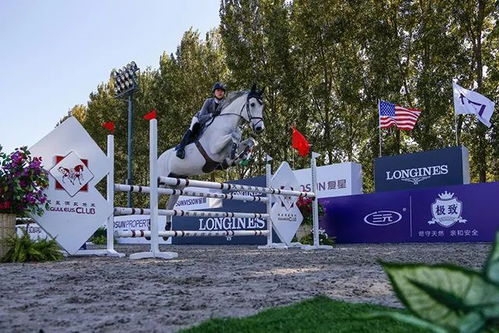 意料之外的奥运之路