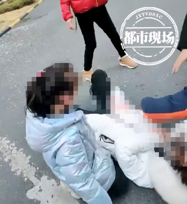 女子小区内投放蟑螂引发风波，警方介入调查