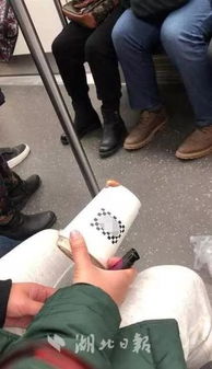 女子小区内投放蟑螂引发风波，警方介入调查