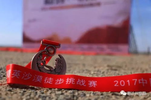 与金牌仅差0.08秒——挑战极限的奋斗与重生