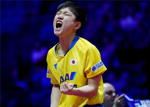 张本智和输比赛后的微笑，失败的教训与体育精神