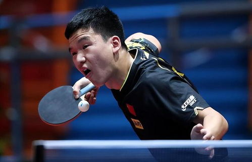 樊振东双杀莫雷高德，不屈的斗志与技术的较量