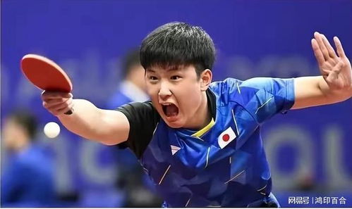 马龙与王楚钦眼中的樊振东追星风采