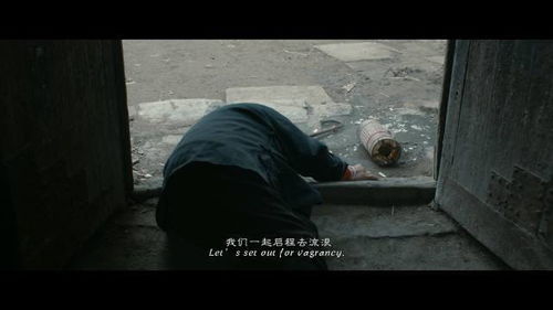 两兄弟的无期冤路，偷开心果背后的辛酸