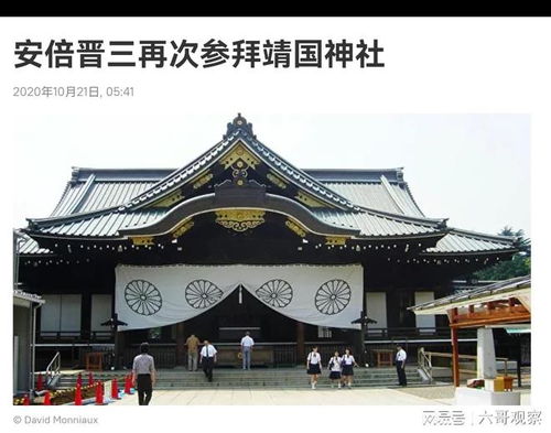 张本智和参拜争议神社事件深度剖析