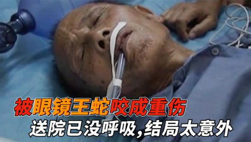 意外之中的伤痛，一位72岁老人吃山竹时被蝎子咬伤的经历