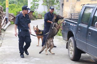 两岁女童深山奇迹