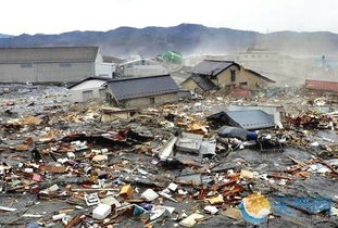 大地震未发生之时，日本反思狼来了的背后故事