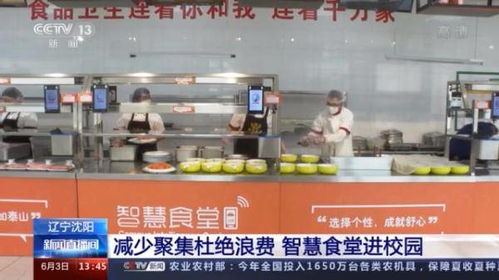 惊人揭秘，高校男生如何智破食堂饭卡系统，背后的真相令人震惊！