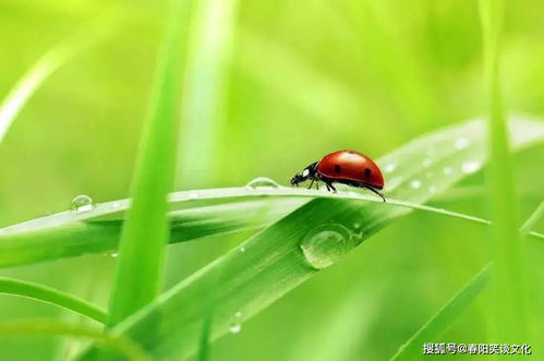 活着皮要厚，学者的鼓励与年轻人的人生智慧