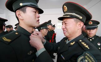 退役军人保障法，守护退伍军人的权益之盾