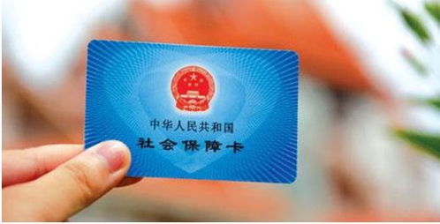 办健康证全攻略，所需材料与详细流程