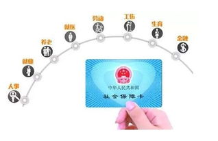 办健康证全攻略，所需材料与详细流程