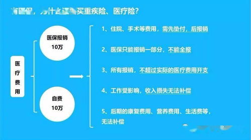 医保断缴后如何重新参保，官方指南与应对策略