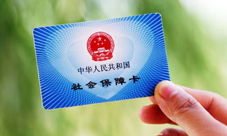 事业单位社保全解析，保障与福利并重