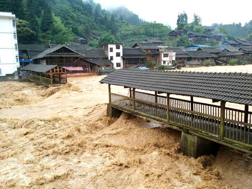 辽宁洪灾村奇迹，一夜建成51米机械化桥