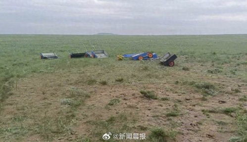 沙葱韭菜花采摘现场被查，林草局回应事件始末