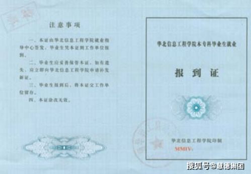 报到证有效期揭秘，全面解析报到证的重要性及注意事项