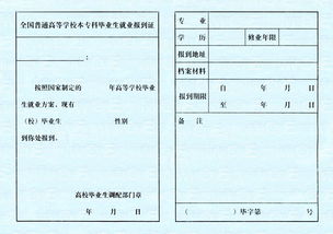 报到证有效期揭秘，全面解析报到证的重要性及注意事项