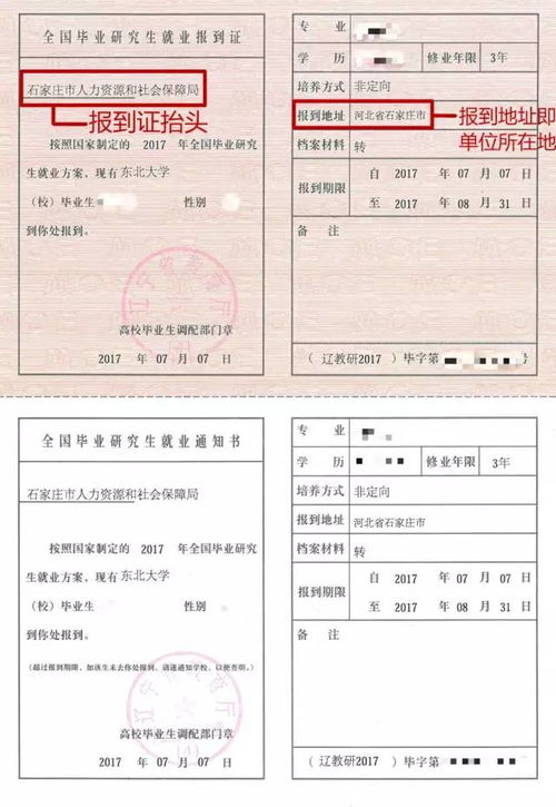 报到证有效期揭秘，全面解析报到证的重要性及注意事项
