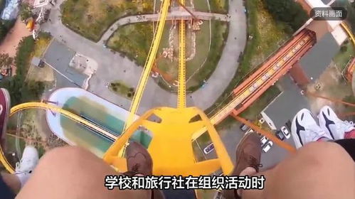 女生坐过山车致高位截瘫，警示与挑战