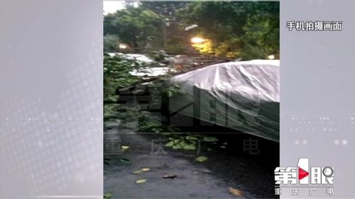 小区两年发现超200块问题玻璃，安全隐患与治理之道